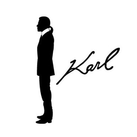 KARL LAGERFELD PARIS Solid Sheer Shawl - Picture 5 of 8